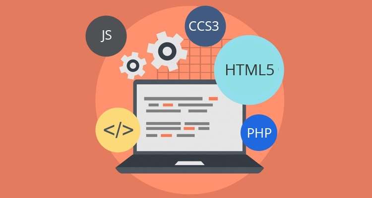 Read more about the article What Skills Are Required for Web Development