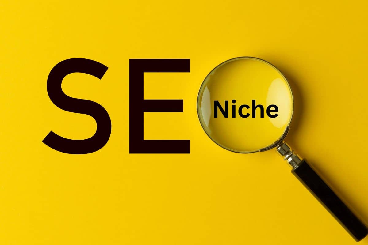 Read more about the article What is Niche in SEO