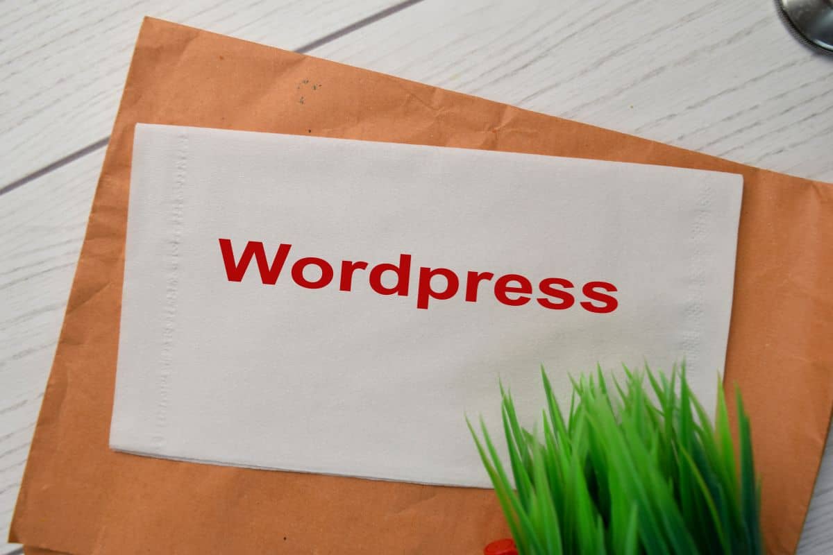 Read more about the article What is WordPress Theme and Plugin