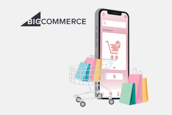 Read more about the article What is BigCommerce and How Does it Work